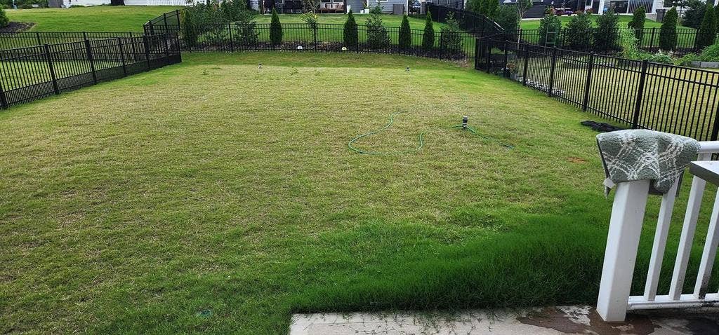 4 BR in Charlotte