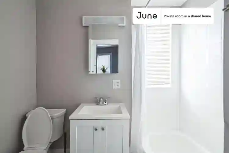 4 BR in Boston