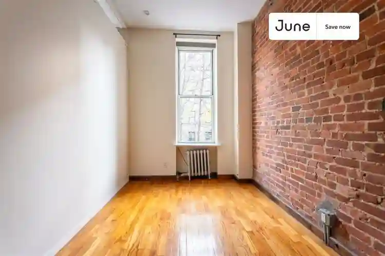 1 BR in New York City