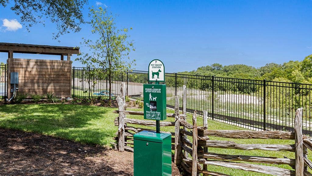 4 BR in Austin