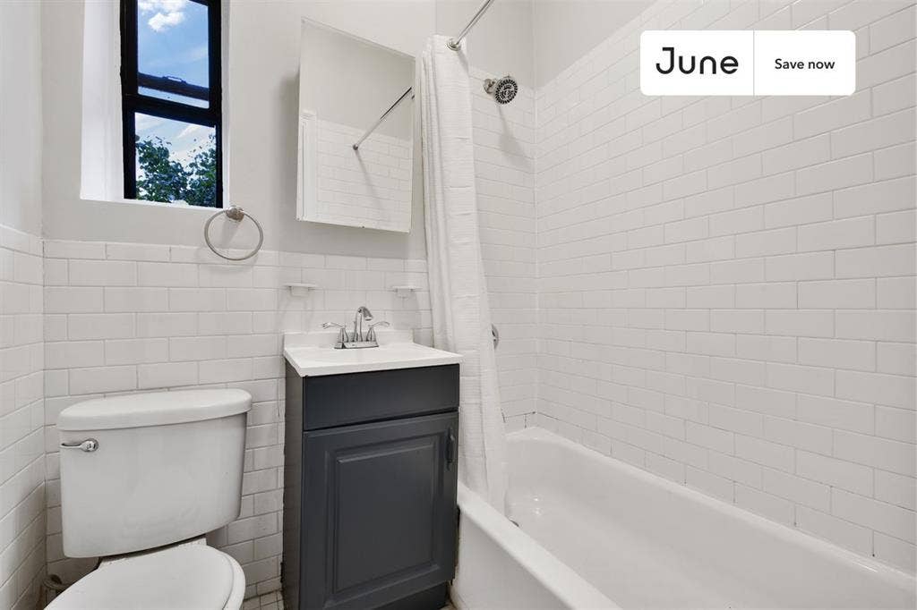 1 BR in New York City