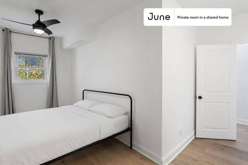 5 BR in Washington DC