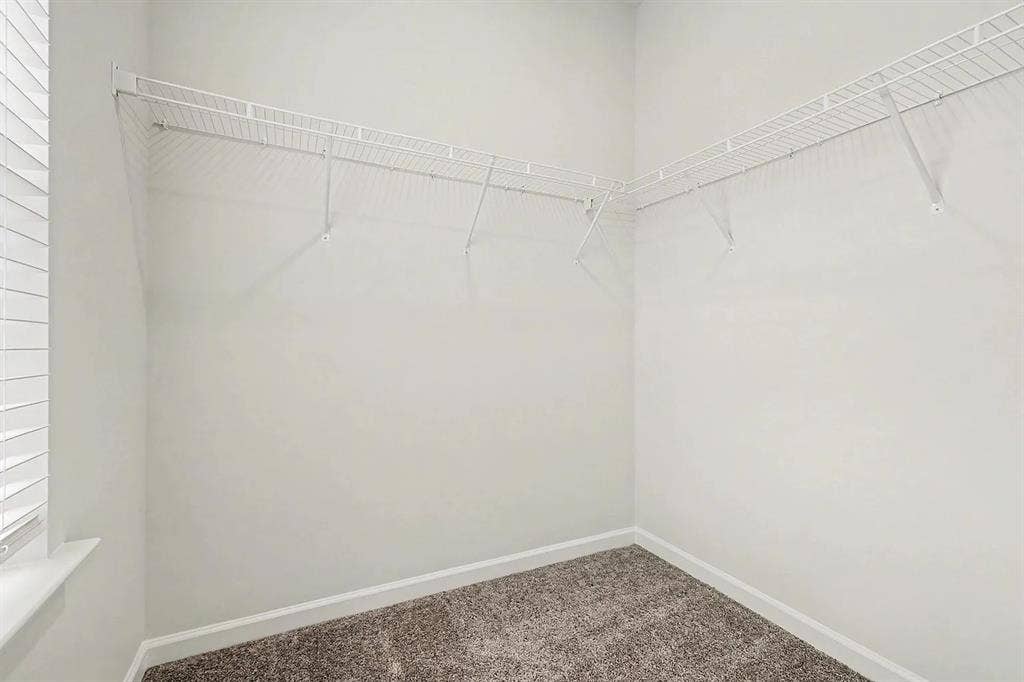 3 BR in Charlotte