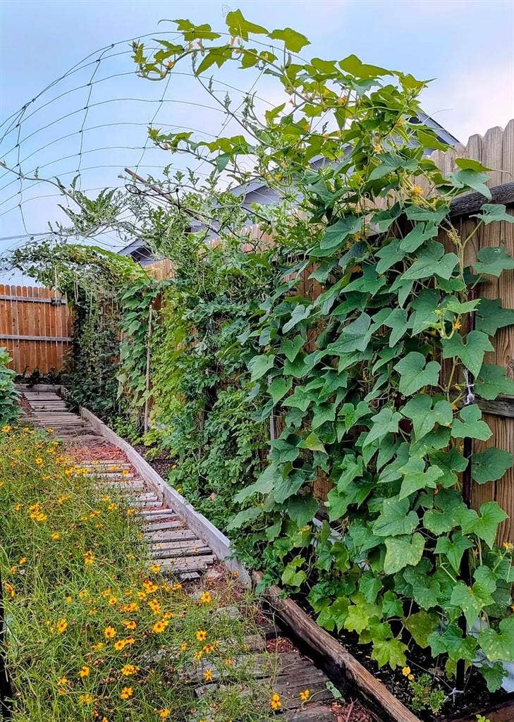 4 BR in Von Ormy