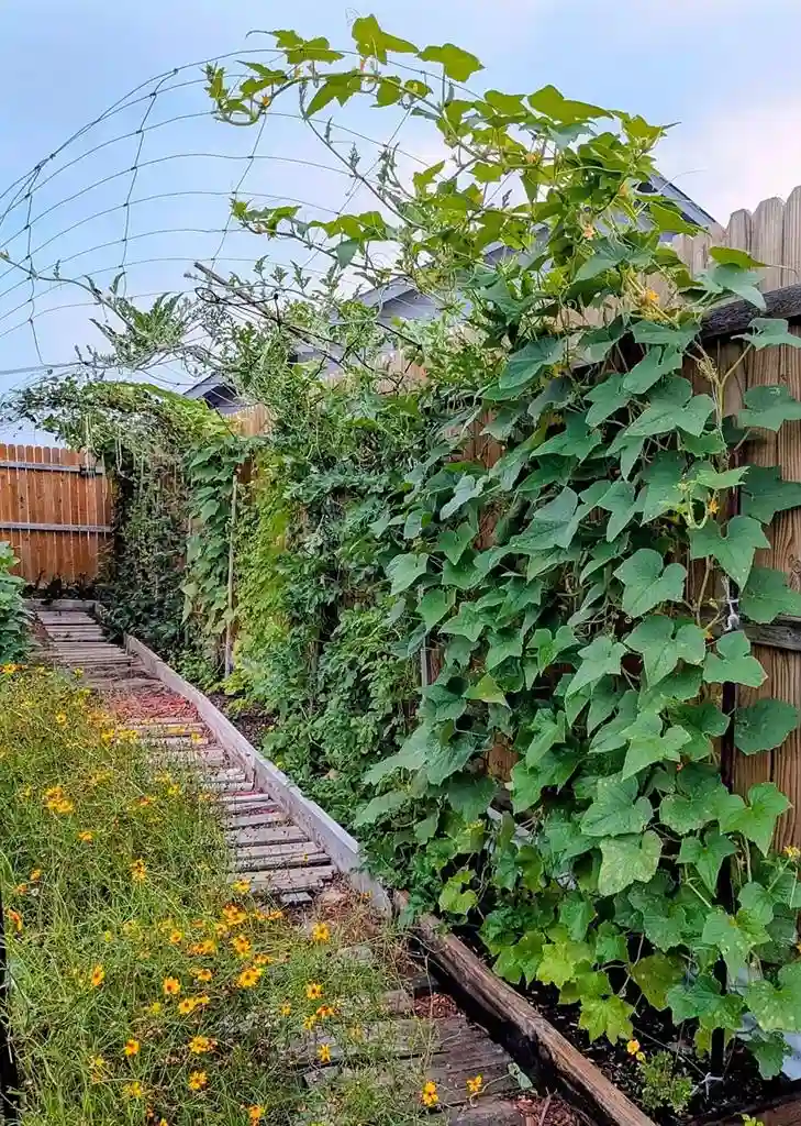4 BR in Von Ormy