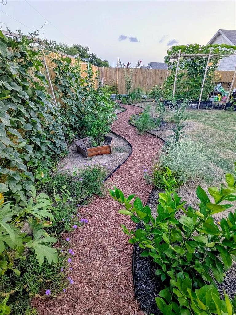 4 BR in Von Ormy