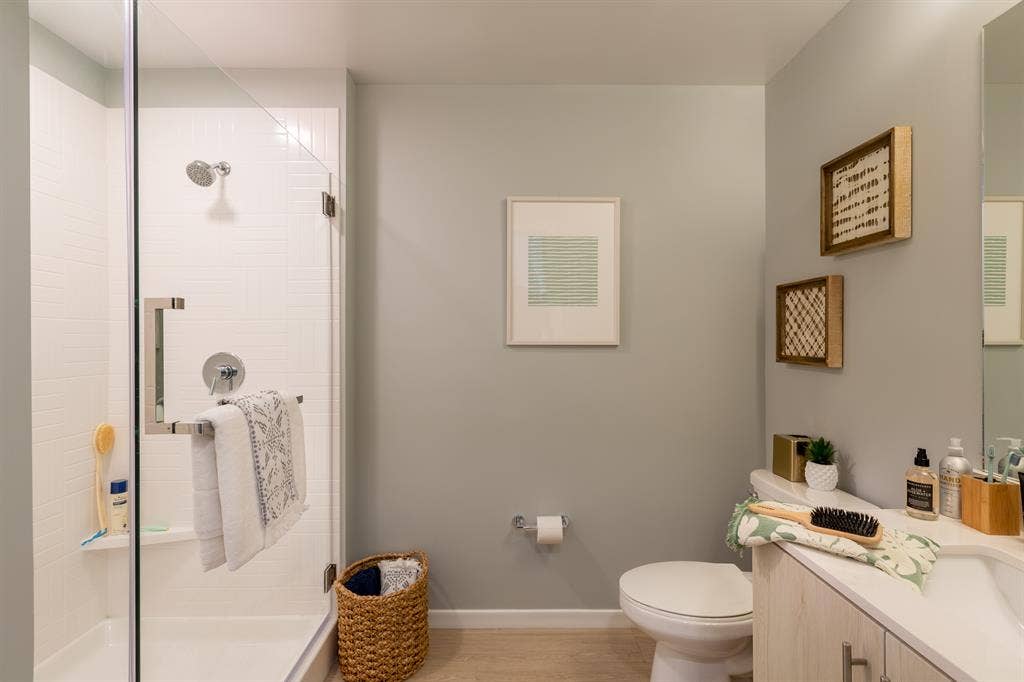 Subletting my room at Olive tempe!