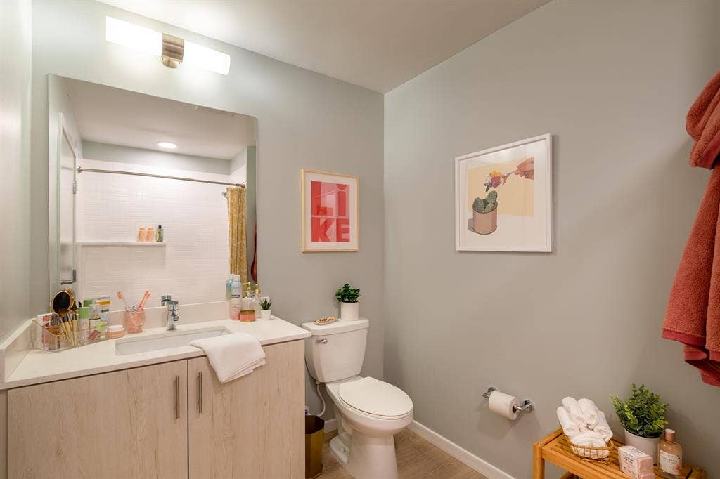 Subletting my room at Olive tempe!