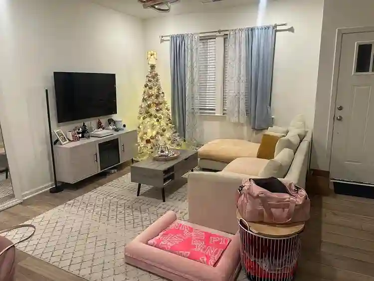 3 BR in Raleigh