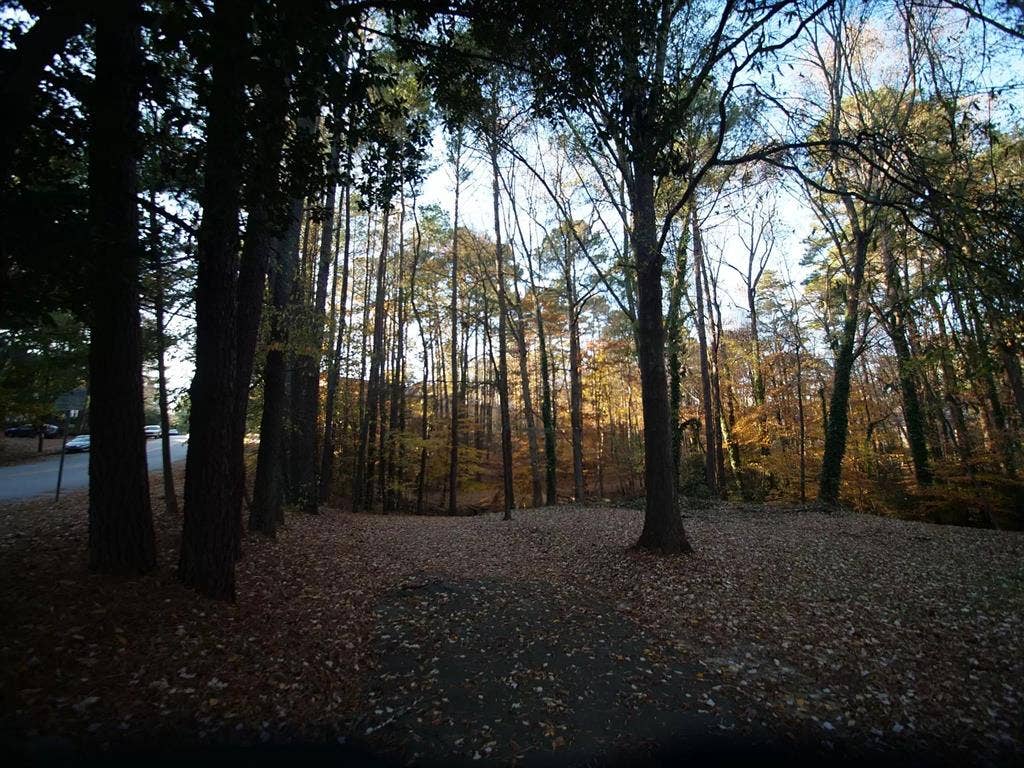 1 BR in Raleigh