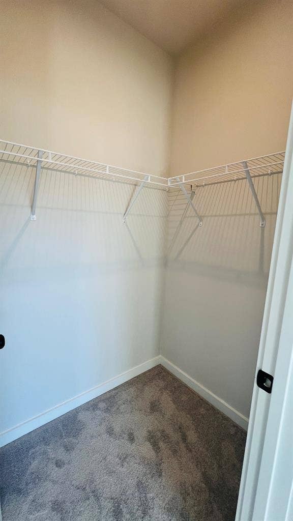4 BR in Charlotte
