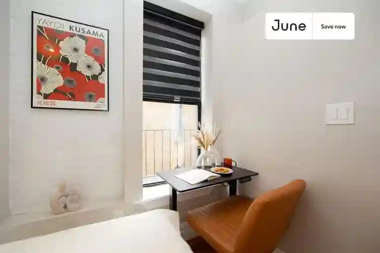 1 BR in New York City