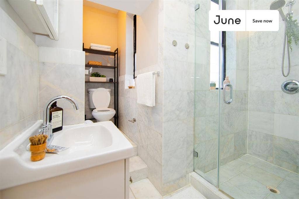 1 BR in New York City