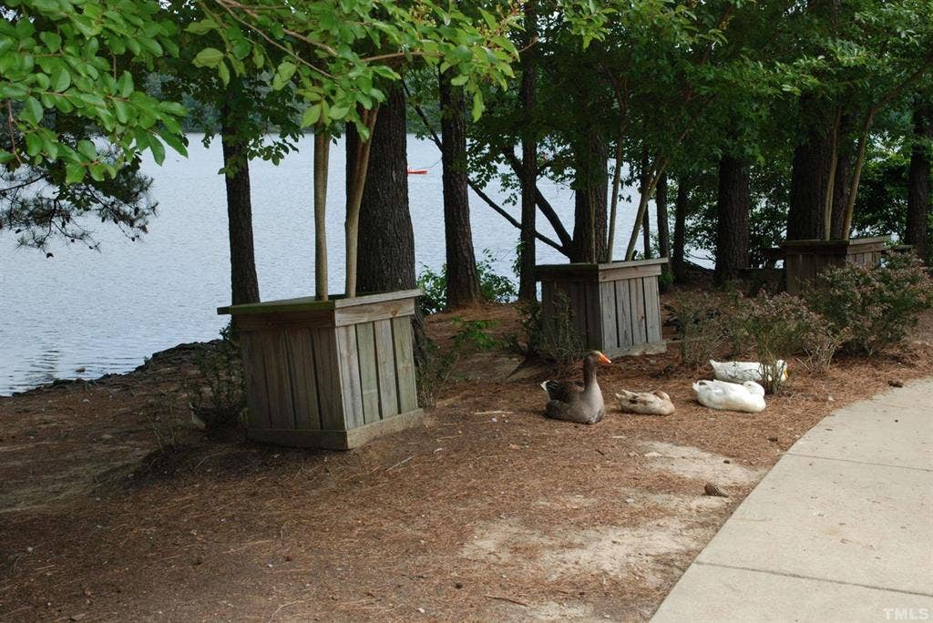 4 BR in Raleigh