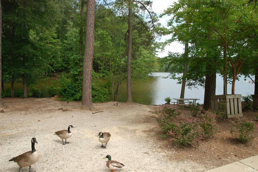 4 BR in Raleigh