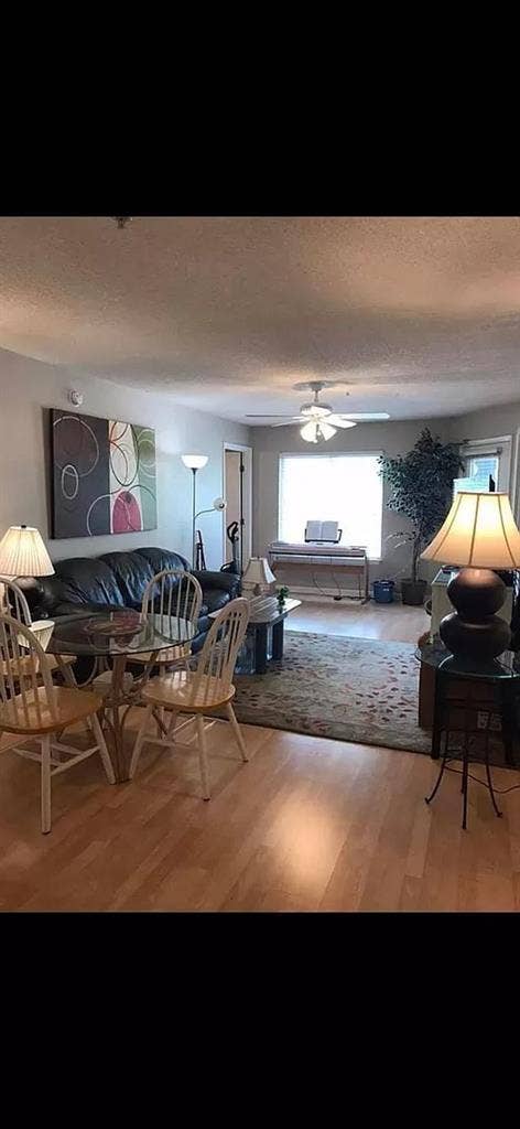 4 BR in Raleigh