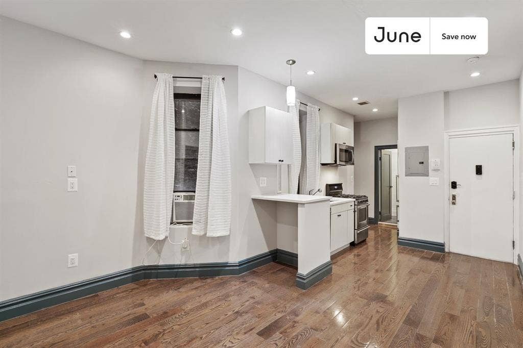 1 BR in New York City