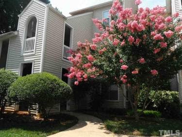 2 BR in Raleigh