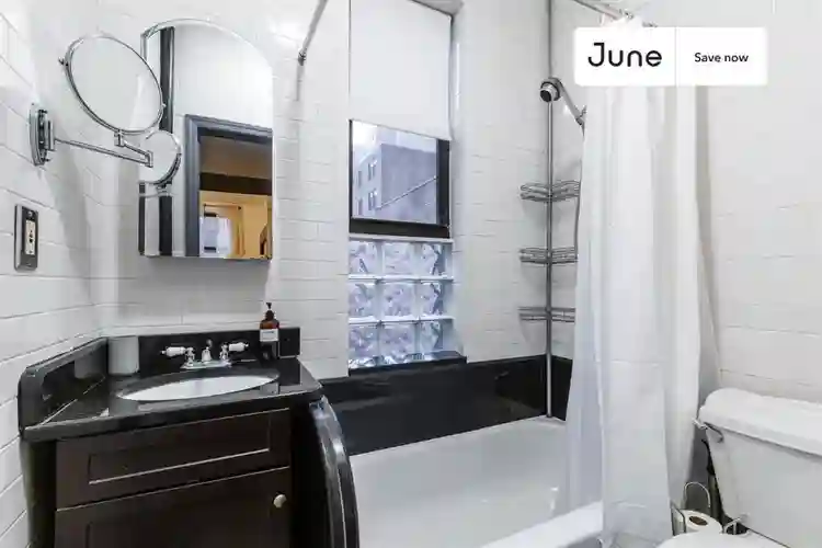 1 BR in New York City