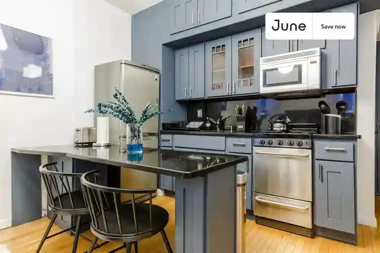 1 BR in New York City