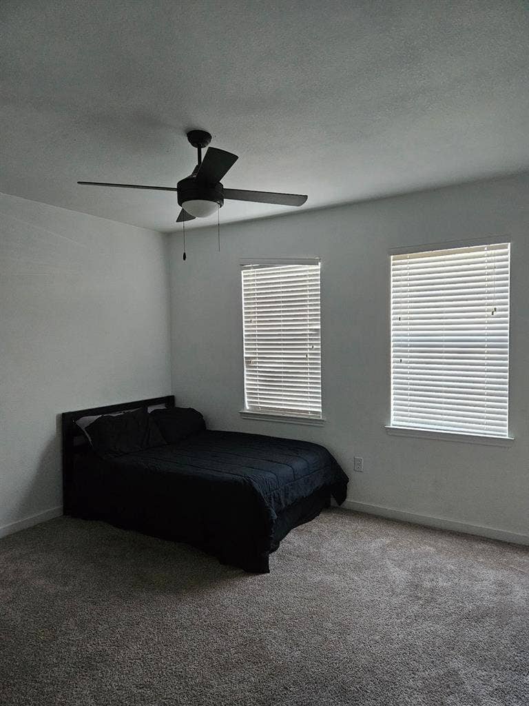 Now accepting roommates today