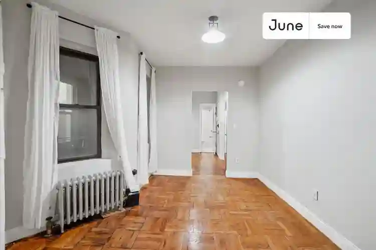 1 BR in New York City