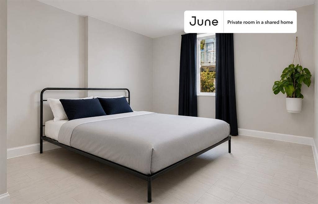 5 BR in Boston