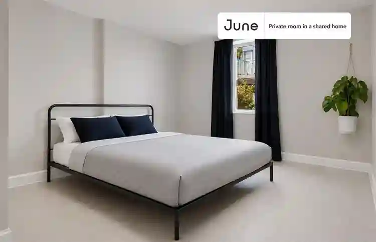 5 BR in Boston