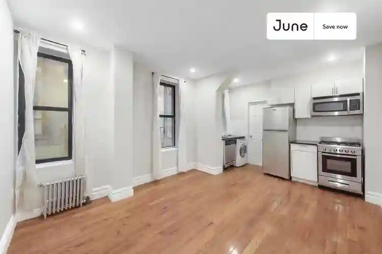 1 BR in New York City