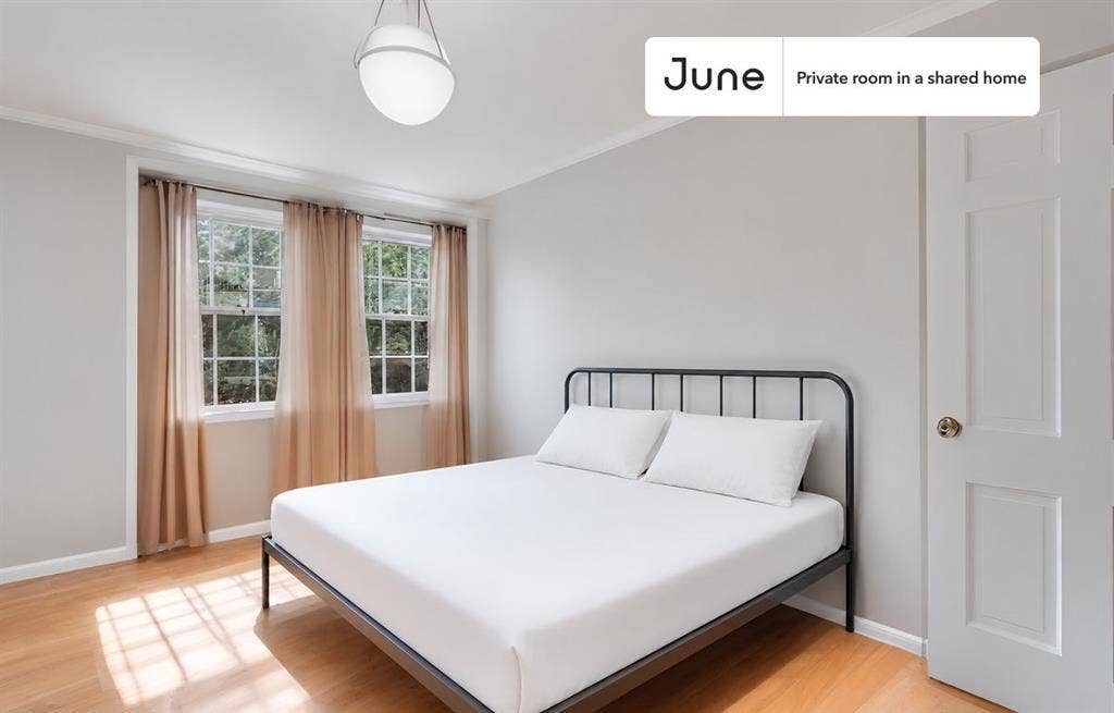 7 BR in Washington DC