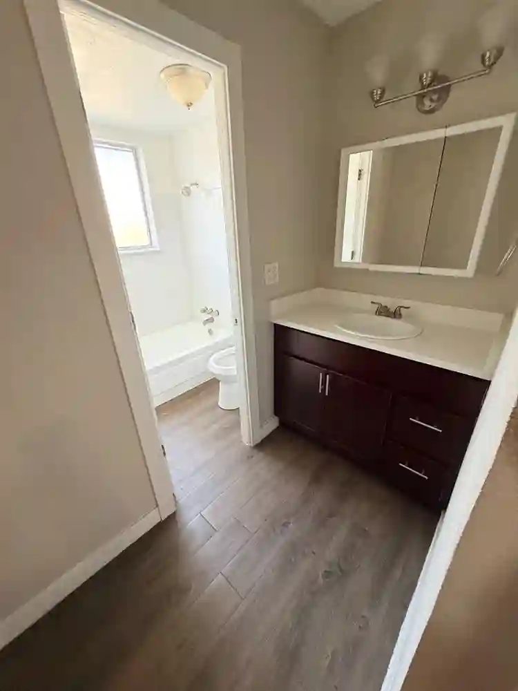 Looking for a roommate