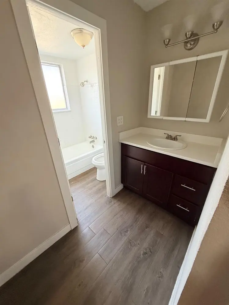Looking for a roommate