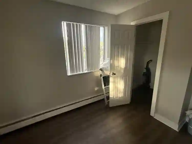 Looking for a roommate
