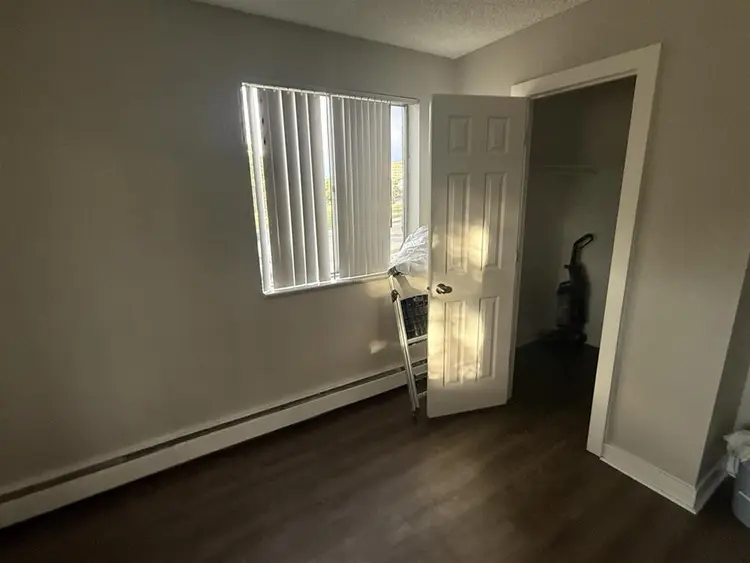 Looking for a roommate