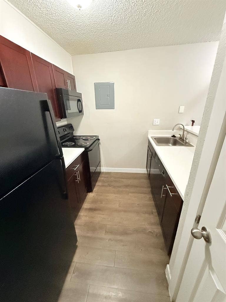 Looking for a roommate