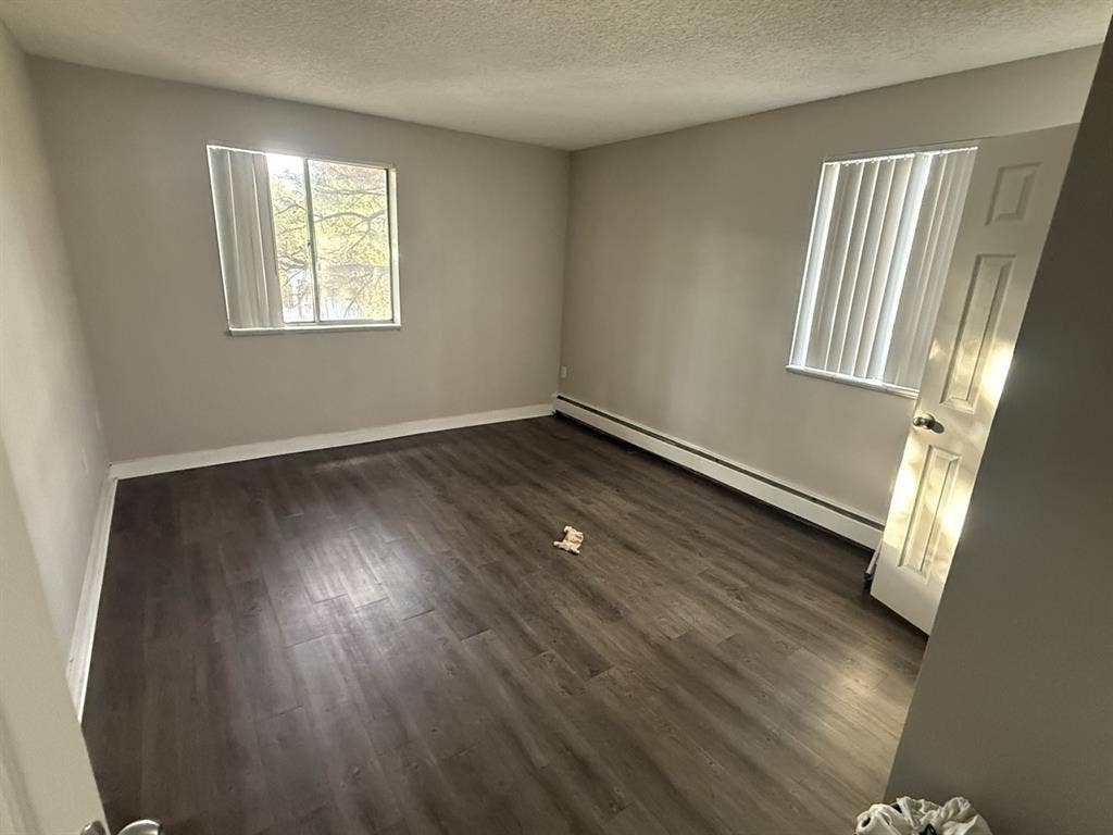 Looking for a roommate