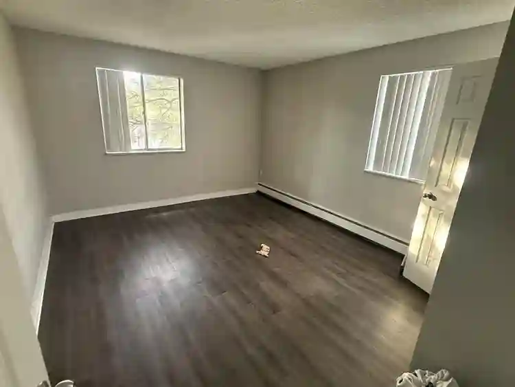 Looking for a roommate