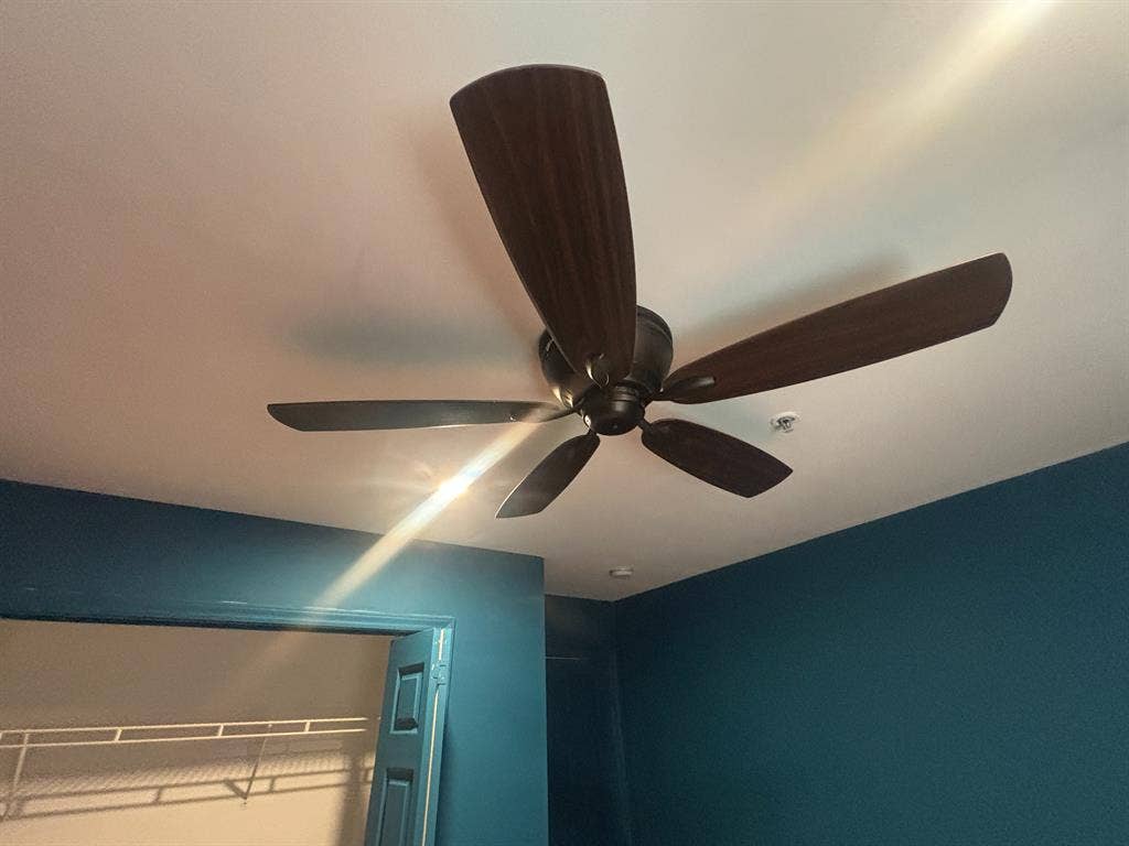 3 BR in Raleigh