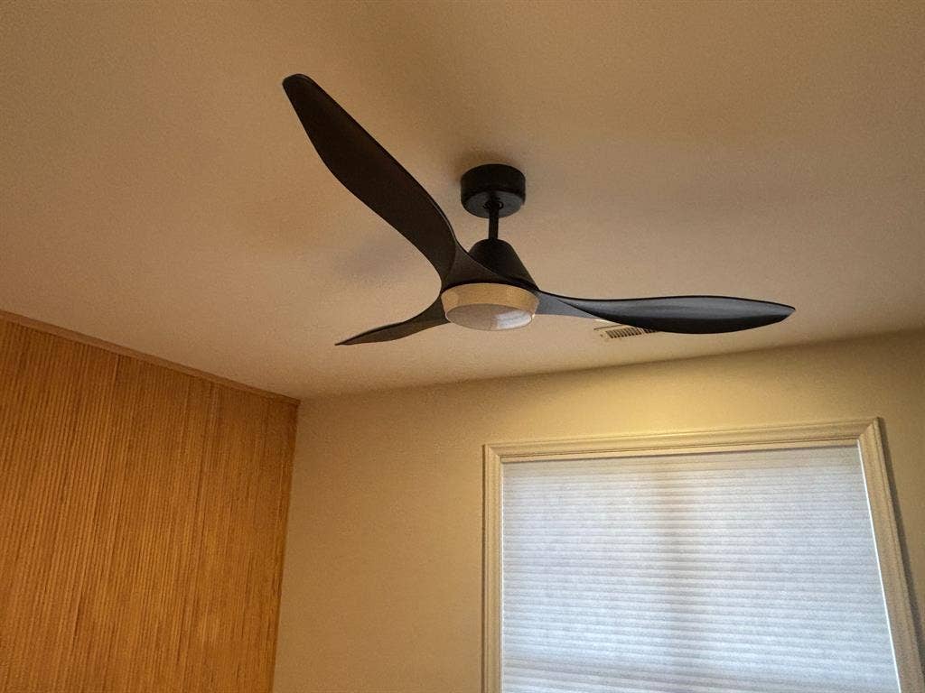 3 BR in Raleigh