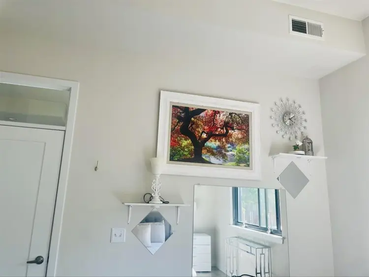 Luxury 1BR/1BA in a shared 2BR/2BA