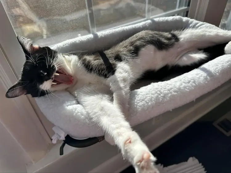 Room available