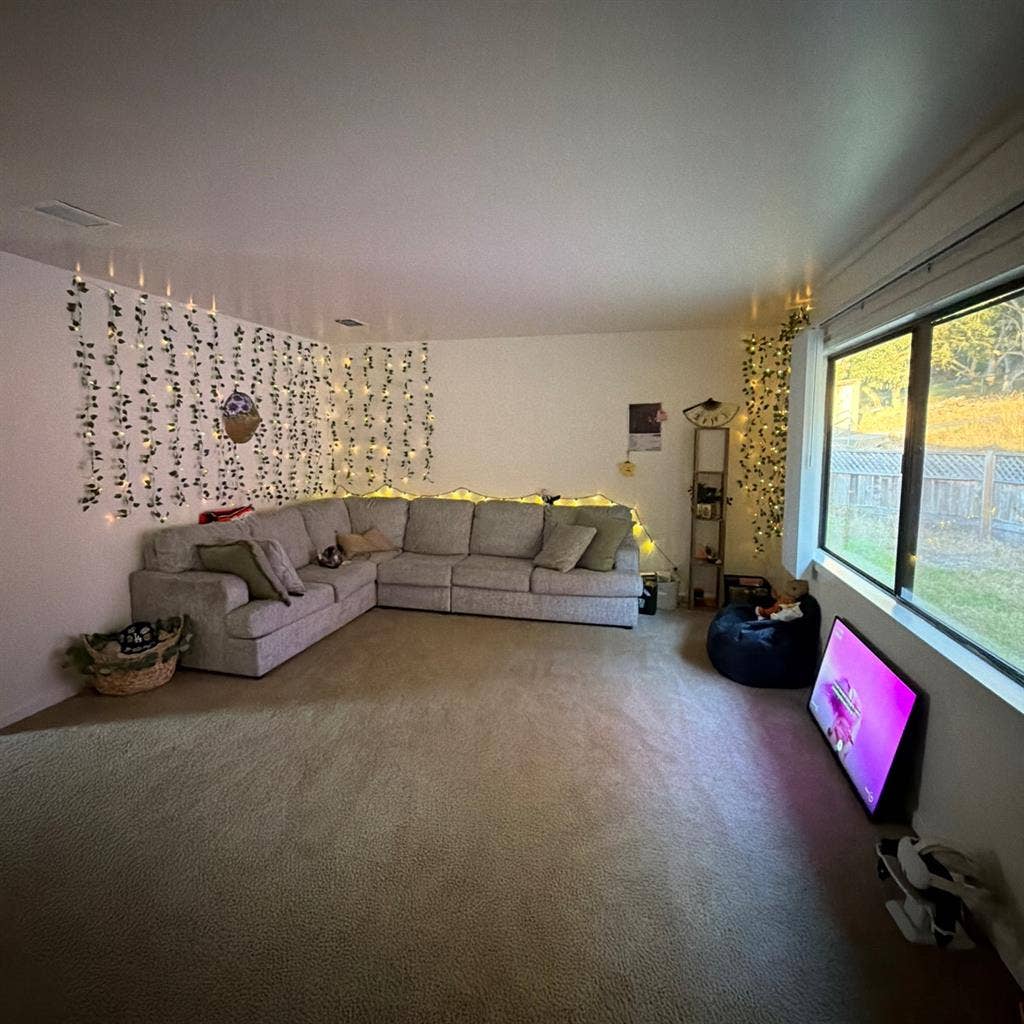 Looking for a roommate