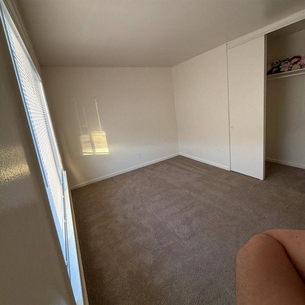Looking for a roommate