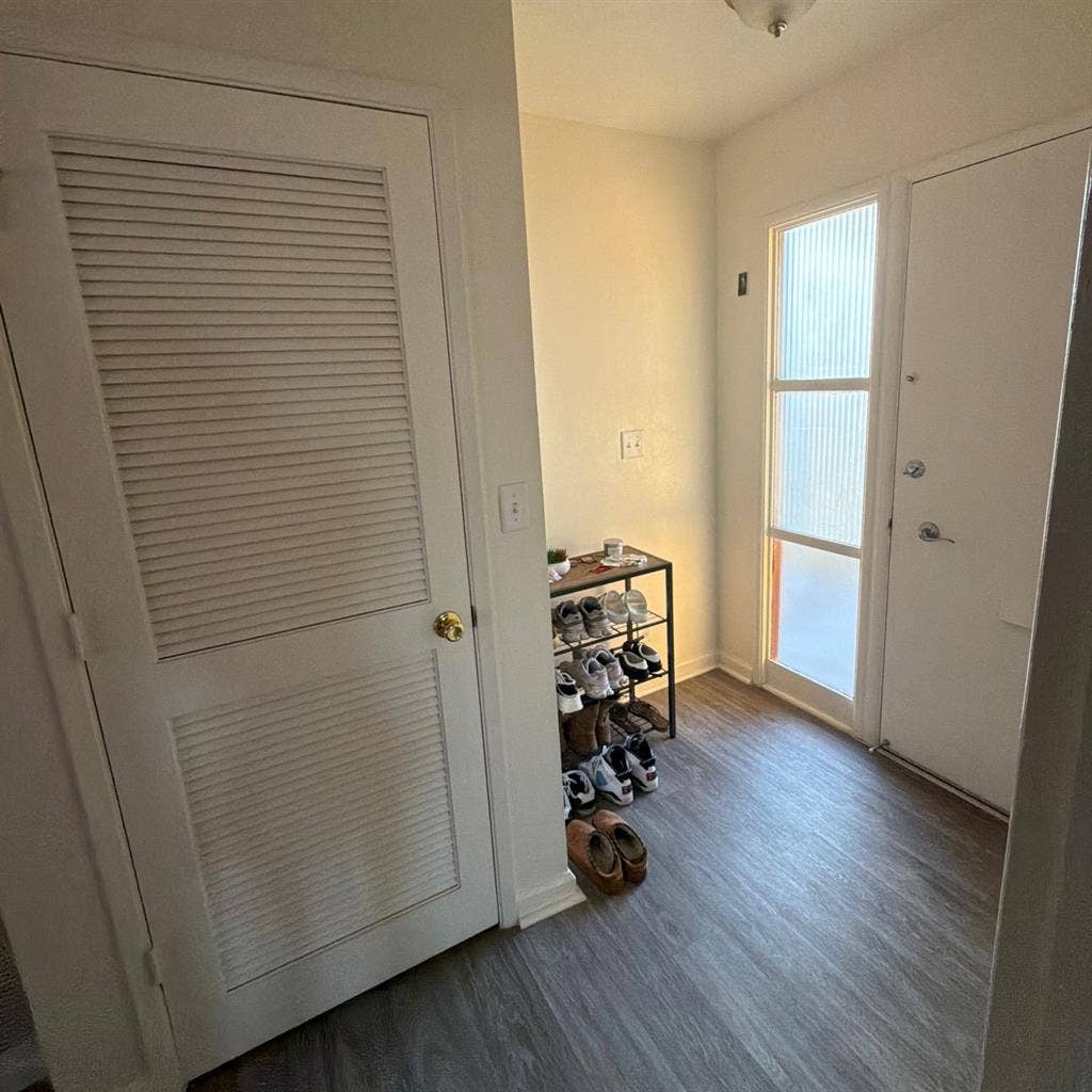 Looking for a roommate