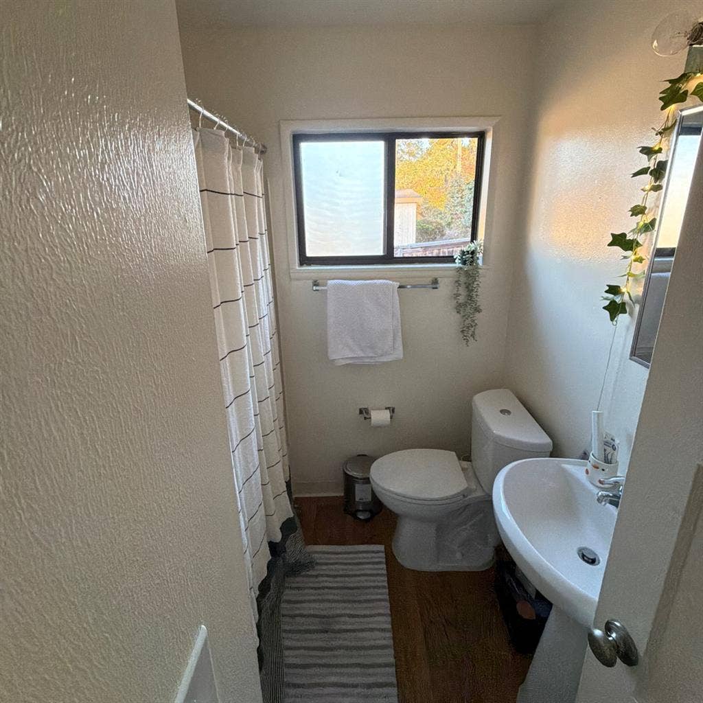 Looking for a roommate