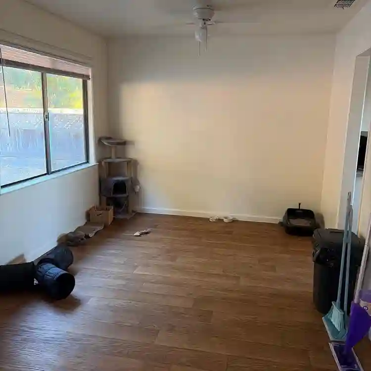 Looking for a roommate