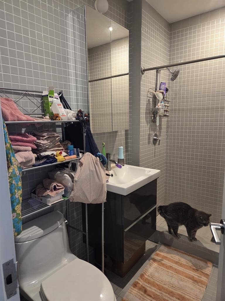 Furnished, sun-drenched 1 bedroom