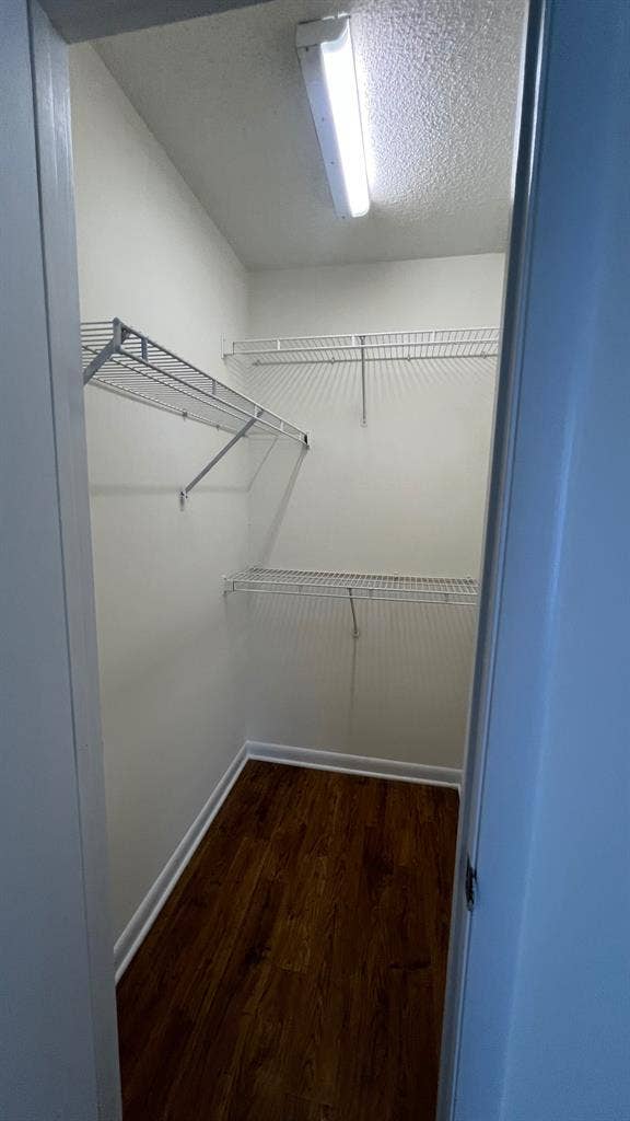 4 BR in Raleigh