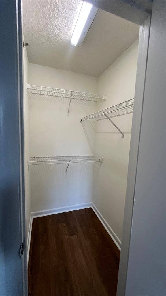 4 BR in Raleigh