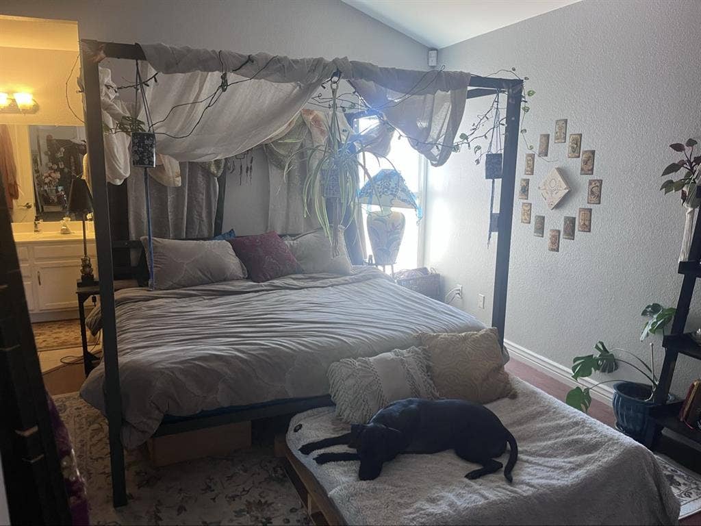 Primary bedroom in gorgeous house!